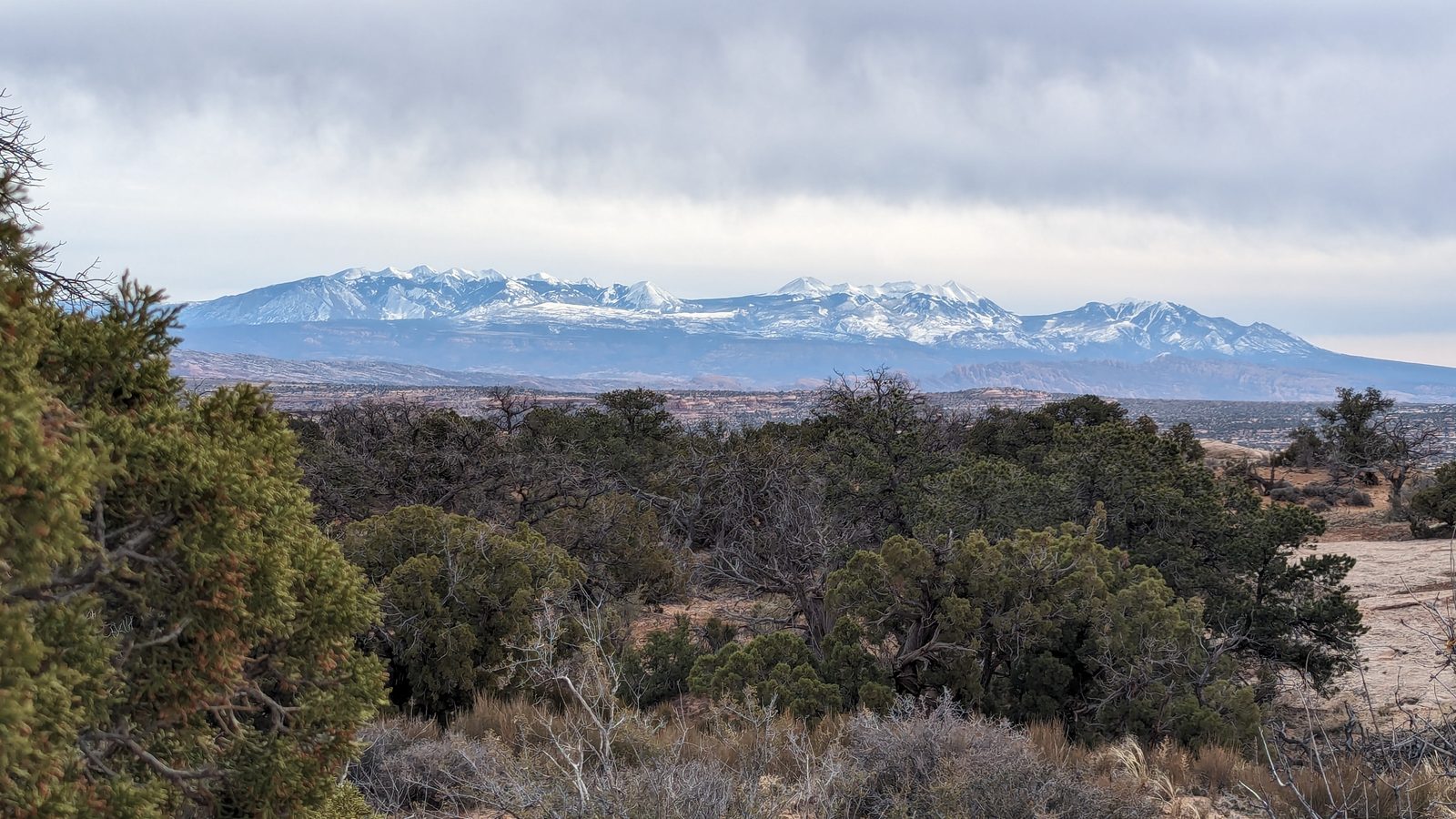 Snow-covered La Sal Mountains rising beyond juniper and red rock at Arches National Park