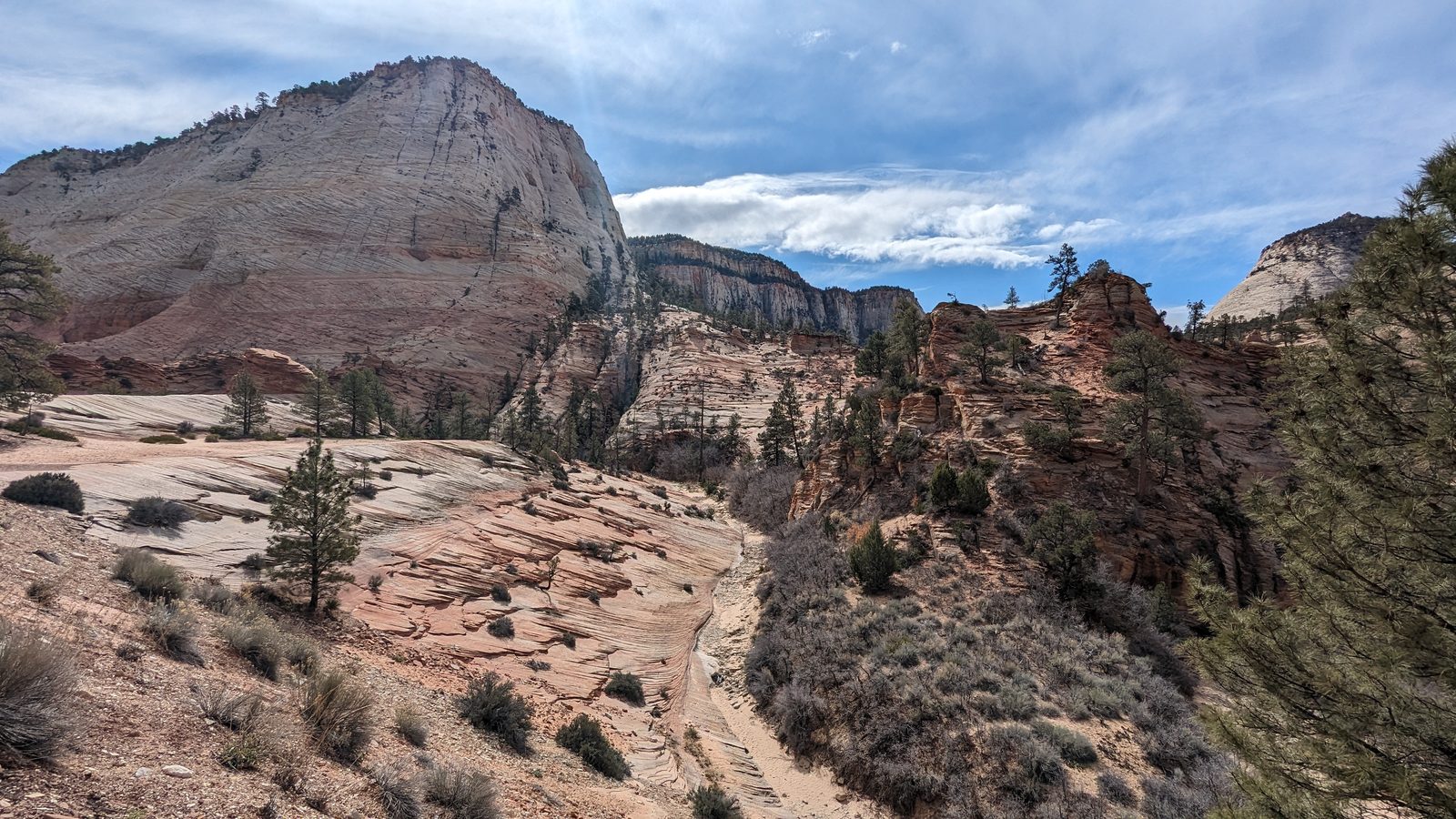 Pale cross-bedded sandstone domes and a sandy wash on the eastern side of Zion National Park